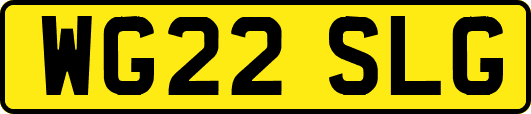 WG22SLG