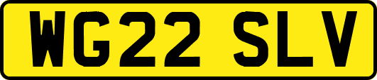 WG22SLV