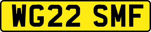 WG22SMF