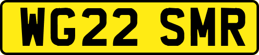 WG22SMR