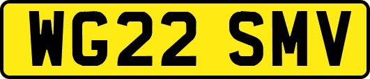 WG22SMV