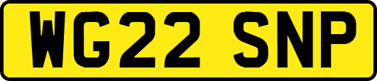 WG22SNP