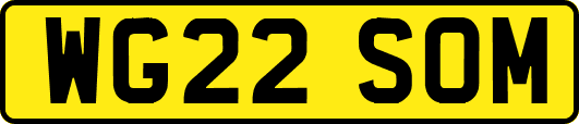 WG22SOM