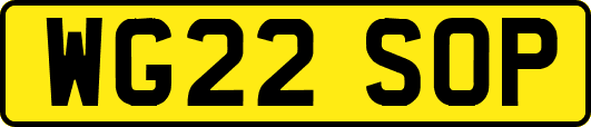 WG22SOP