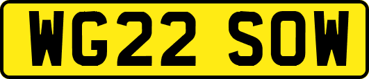 WG22SOW