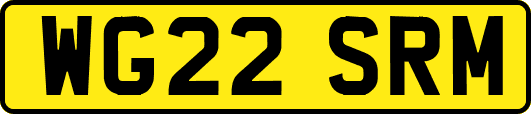 WG22SRM