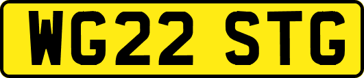 WG22STG