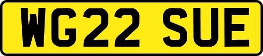 WG22SUE
