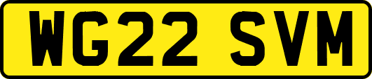 WG22SVM