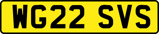 WG22SVS