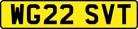 WG22SVT