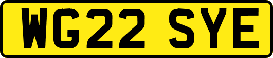 WG22SYE