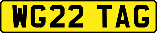WG22TAG
