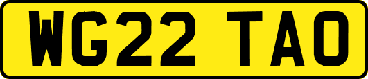 WG22TAO