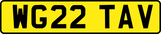 WG22TAV