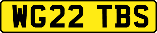 WG22TBS