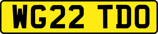 WG22TDO