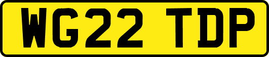WG22TDP