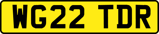WG22TDR