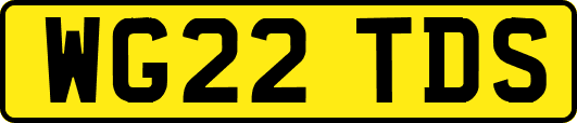 WG22TDS