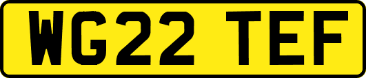 WG22TEF