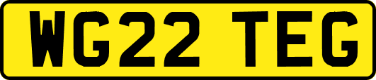 WG22TEG