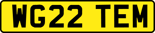 WG22TEM