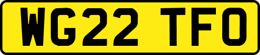 WG22TFO