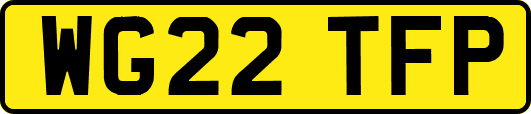 WG22TFP