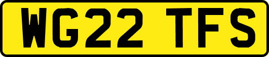 WG22TFS