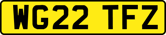 WG22TFZ