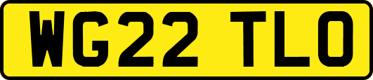 WG22TLO