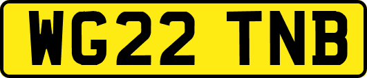 WG22TNB
