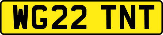 WG22TNT