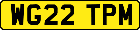 WG22TPM