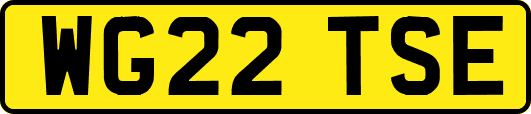 WG22TSE