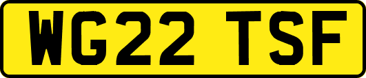 WG22TSF