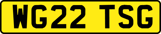 WG22TSG