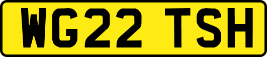 WG22TSH
