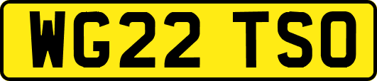 WG22TSO
