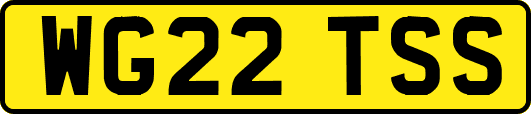 WG22TSS