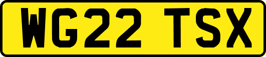 WG22TSX