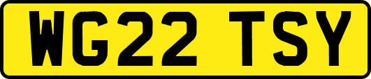 WG22TSY