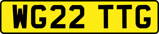 WG22TTG