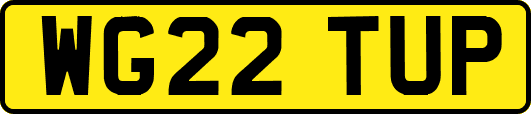 WG22TUP