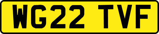 WG22TVF