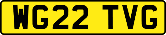 WG22TVG