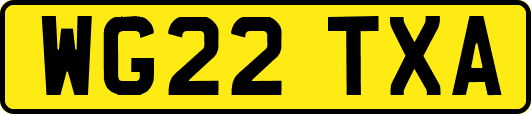 WG22TXA