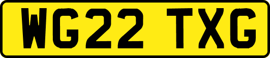 WG22TXG