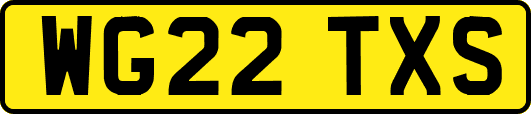 WG22TXS